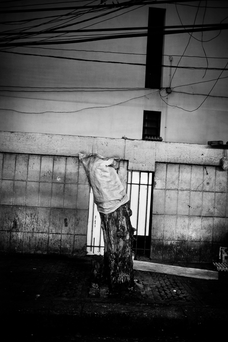 034_TRG200905W8381